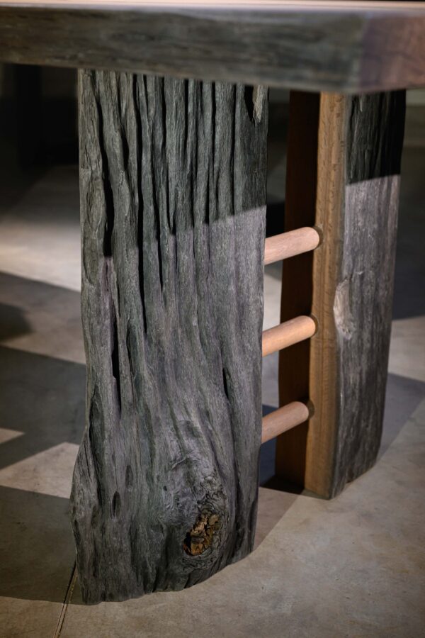 RELIC - Image 5